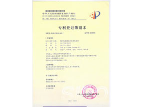 微污染水源水给水净化妆置专利
