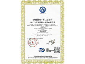 质量治理系统认证